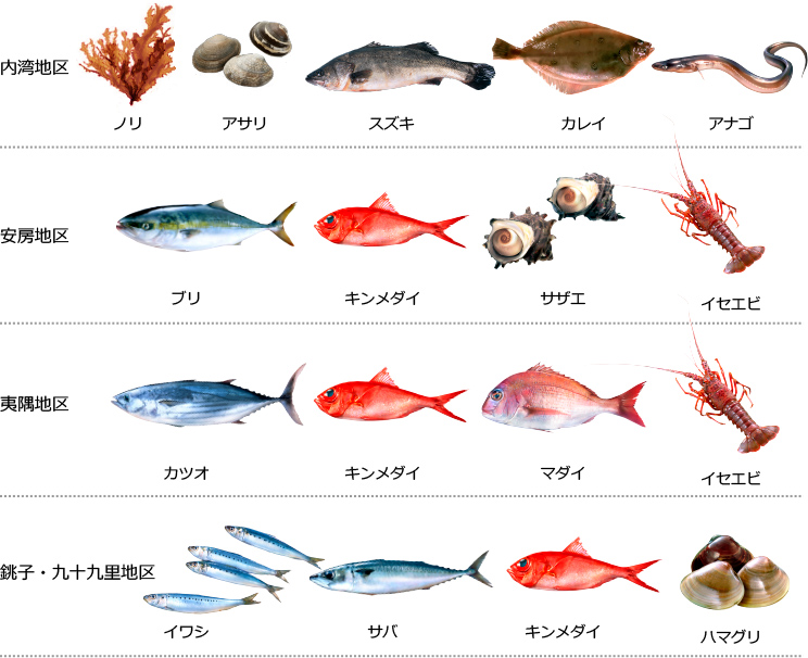 千葉で獲れる魚